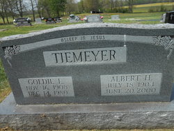 Albert John Henry Tiemeyer 