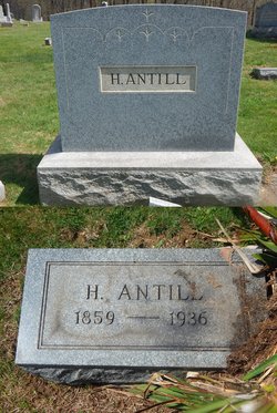 Harvey Antill 