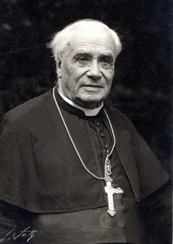 Cardinal Louis Henri-Joseph Lucon 