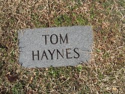 Tom Haynes 