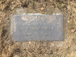 Henry Bently Falls 