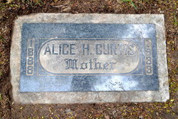 Alice Rachel <I>Hills</I> Curtis 
