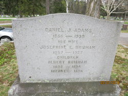 Albert Brigham Adams 