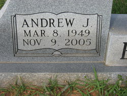 Andrew J Bowie 