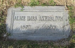 Alice May <I>Imes</I> Akerbloom 