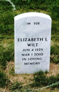 Elizabeth L Wilt 