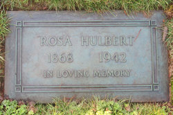 Rosa <I>Bodmer</I> Hulbert 