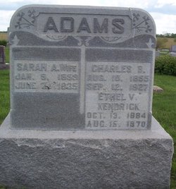 Sarah Ann “Sissie” <I>Briggs</I> Adams 