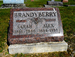 Alexander J Brandyberry 