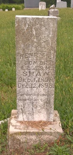 Henry L. Shaw 