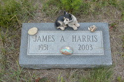 James Albert Harris Jr.