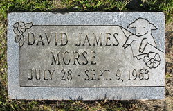 David James Morse 