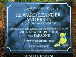 Edward Leander Andersen 
