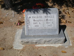 Valaine Briggs 