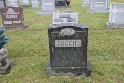 James J. Cucchi 