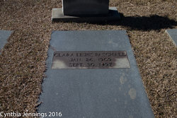 Clara Patti <I>Lewis</I> Paschall 