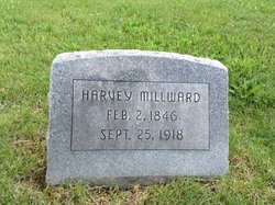 Harvey Millward 