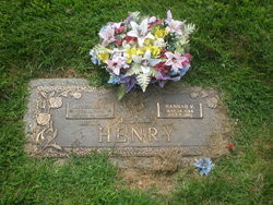 Hannah V. <I>Sterner</I> Henry 