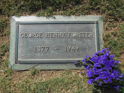 George Henry Forster 