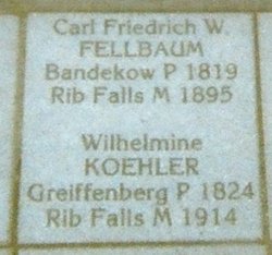 Carl Friedrich Wilhelm Fellbaum 