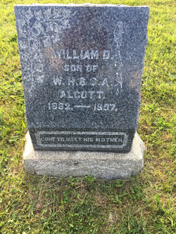 William D Alcott 