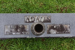 Louis D Adams 