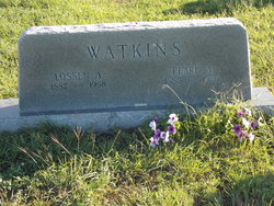 Lossen Allen Watkins 