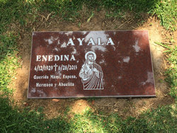 Enedina <I>Fimbres</I> Ayala 