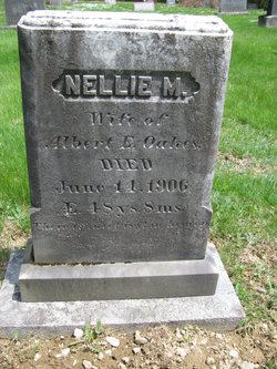 Nellie M. <I>Brown</I> Oakes 