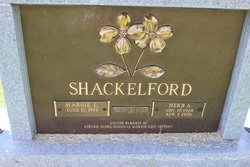 Herb A Shackelford 