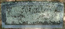 Dr Walter Sorrell 