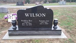 Robbin Rae <I>Hubbs</I> Wilson 