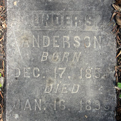 Gunder S. Anderson 