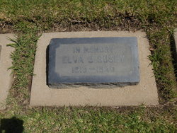 Elva J Busey Jr.
