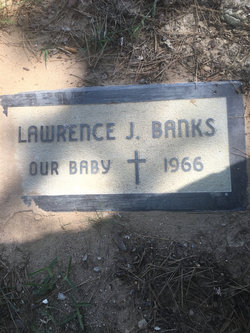 Lawrence J Banks 