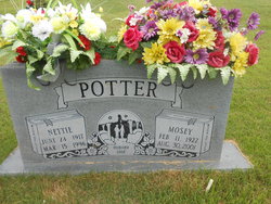 Mosey Potter 