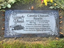 Cassia Chavah Kewin 