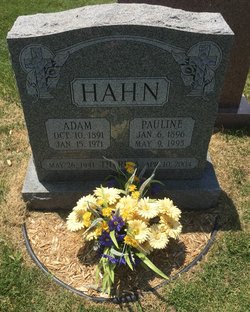 Adam Hahn 