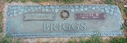 Louise Mae <I>Williams</I> Briggs 