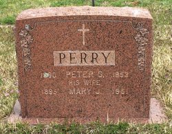 Peter S Perry 