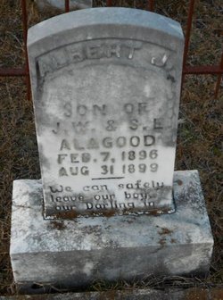 Albert J. Alligood 