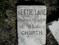 Nettie Lane 