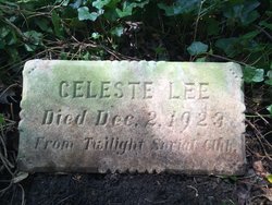 Celeste Lee 