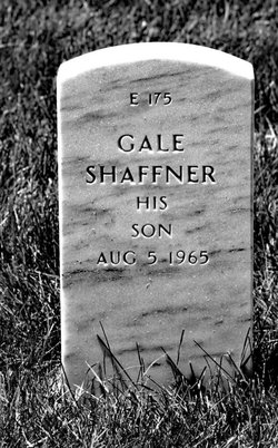 Gale Shaffner Falconer 