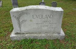 David D Eveland 