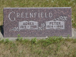 Peter Edward Greenfield 