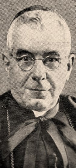 Cardinal Ermenegildo Pellegrinetti 