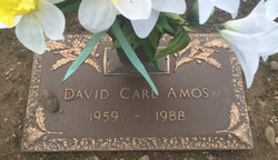 David Carl Amos 