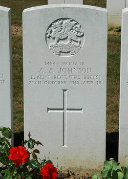 Private Alfred Andrew Johnson 