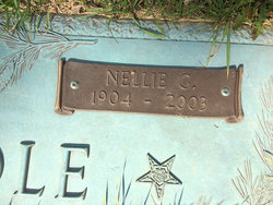 Nellie Grace <I>Sanford</I> Brindle 